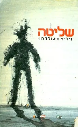 שליטה