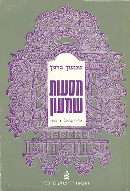 עטיפת מסעות שמעון : ארץ-ישראל, 1870