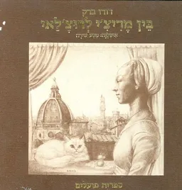 עטיפת הספר בין מדיצי לרוצלאי מאת דודו ברק
