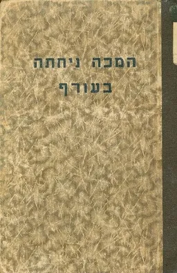 המכה ניחתה בעורף רומן קרבי