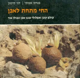 החי מתחת לאבן