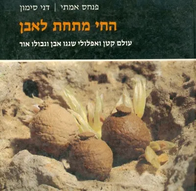 החי מתחת לאבן : עולם קטן ואפלולי שגגו אבן וגבולו אור