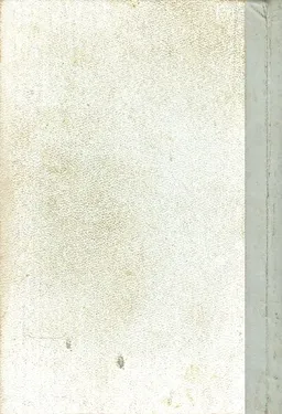 ראשי החנית