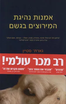 אמנות נהיגת המירוצים בגשם