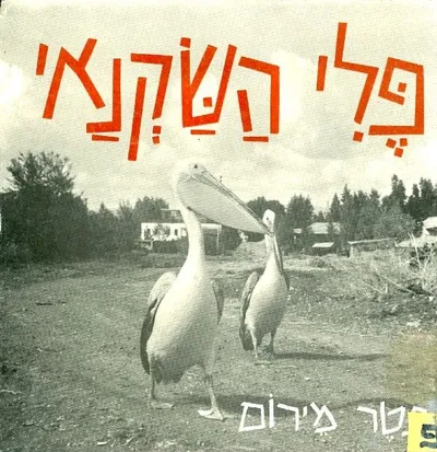 פלי השקנאי