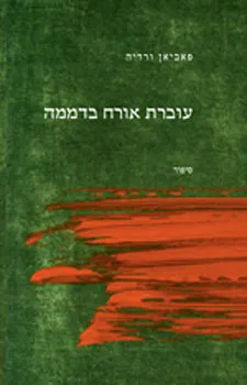 עוברת אורח בדממה - עשר שנות הכשרה בסין : סיפור