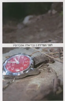 עטיפת הספר לפני הפרידה מאת גבריאלה אמברוסיו