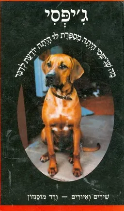 ג'יפסי
