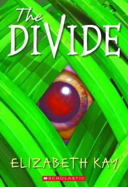עטיפת הספר Divide (The Divide) מאת Elizabeth Kay