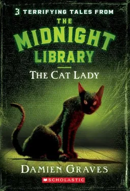 Cat Lady (Midnight Library)