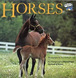 Horses