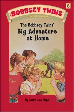 Bobbsey Twins 08: The Bobbsey Twins' Big Adventure at Home