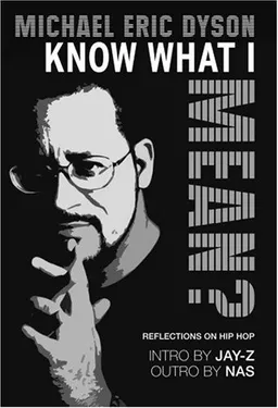 Know What I Mean? : Reflections on Hip-Hop
