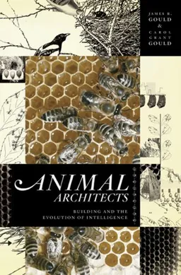 Animal Architects: Building and the Evolution of Intelligence