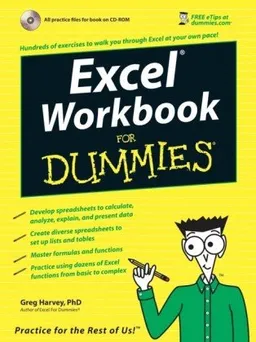 Excel 2007 Workbook For Dummies (For Dummies (Computer/Tech))