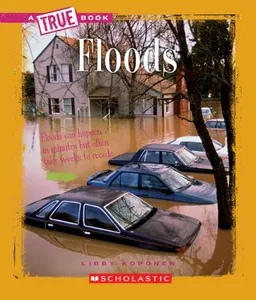 Floods (True Books)
