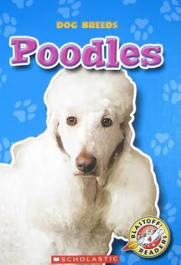 Poodles (Blastoff! Readers: Dog Breeds)