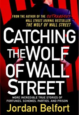 Catching the Wolf of Wall Street: More Incredible True Stories of Fortunes, Schemes, Parties, and Prison