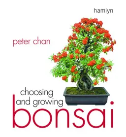 Choosing and Growing Bonsai