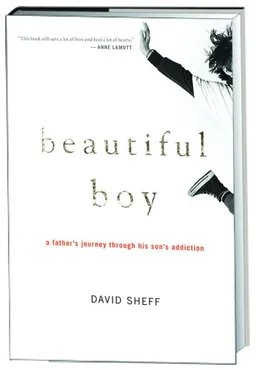 Beautiful Boy: A Father's Journey Through His Son's Addiction