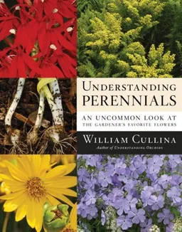 Understanding Perennials: A New Look at an Old Favorite (Frances Tenenbaum Books)