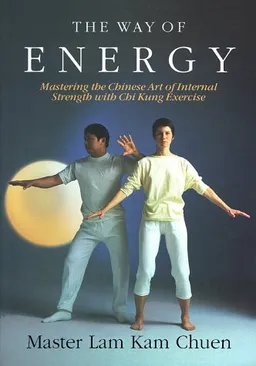 The Way of Energy:  Mastering the Chinese Art of Internal Strength with Chi Kung Exercise (A Gaia Original)
