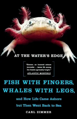 At the Water's Edge : Fish with Fingers, Whales with Legs, and How Life Came Ashore but Then Went Back to Sea