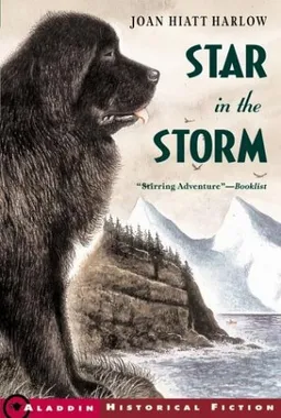 Star in the Storm (Aladdin Historical Fiction)