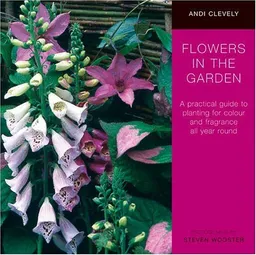 Flowers in the Garden
