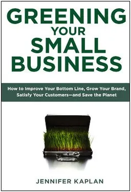 Greening Your Small Business: How to Improve Your Bottom Line, Grow Your Brand, Satisfy Your Customers - andSave the Planet
