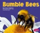 עטיפת הספר Bumblebees (Pebble Plus) מאת Fran Howard