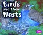 Birds and Their Nests (Pebble Plus)