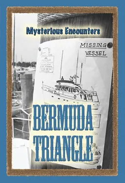 The Bermuda Triangle (Mysterious Encounters)