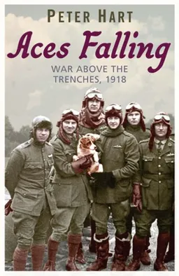 Aces Falling: War Above the Trenches, 1918