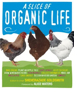 Slice of Organic Life