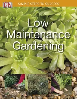 Low Maintenance Garden: Simple Steps to Success