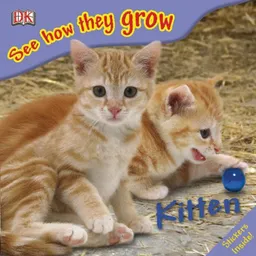 עטיפת הספר Kitten (See How They Grow) מאת DK Publishing