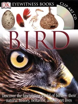 Bird (DK Eyewitness Books)