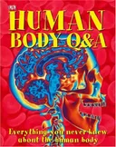 Human Body Q&A