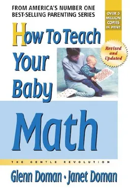 How To Teach Your Baby Math: The Gentle Revolution