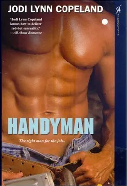 עטיפת הספר Handyman מאת Jodi Lynn Copeland