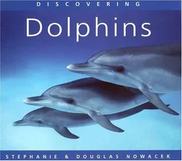 Discovering Dolphins