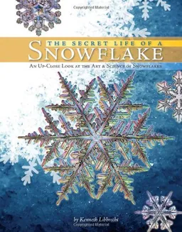 The Secret Life of a Snowflake: An Up-Close Look at the Art and Science of Snowflakes