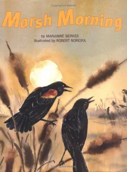 Marsh Morning
