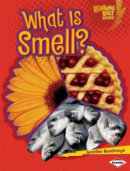 What Is Smell? (Lightning Bolt Books Your Amazing Senses)
