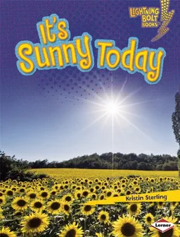 It's Sunny Today (Lightning Bolt Books What's the Weather Like?)