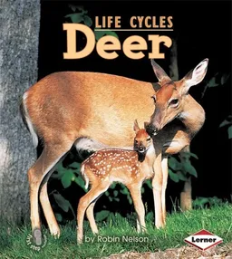 Deer (Animal Life Cycles)