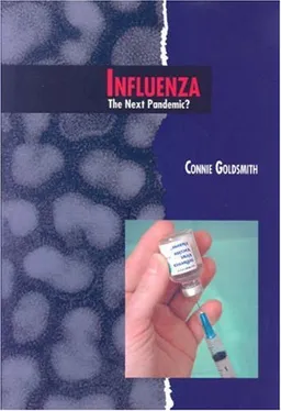 Influenza: The Next Pandemic? (Twenty-First Century Medical Library)