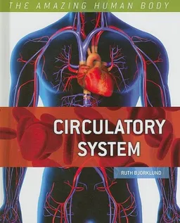 Circulatory System (The Amazing Human Body)