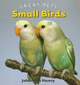 Small Birds (Great Pets)